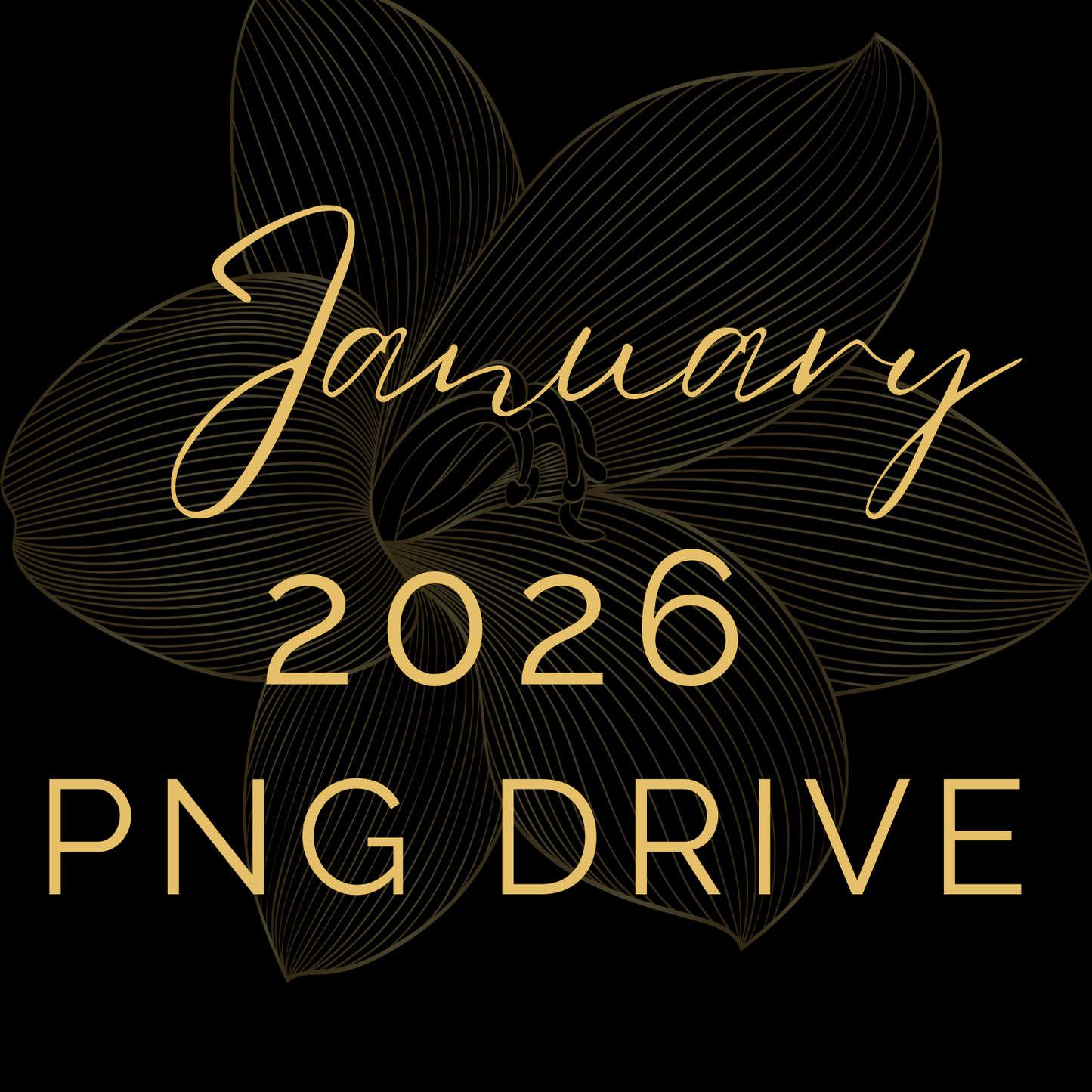 January '26 Drive