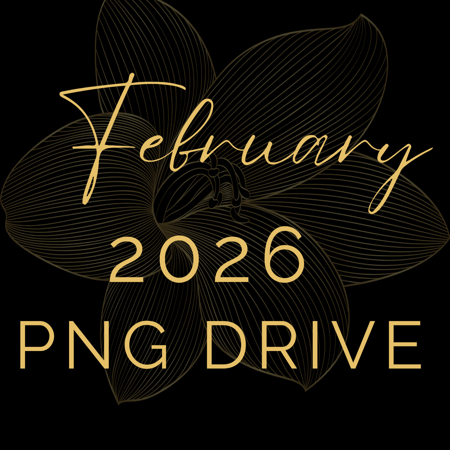 February '26 Drive