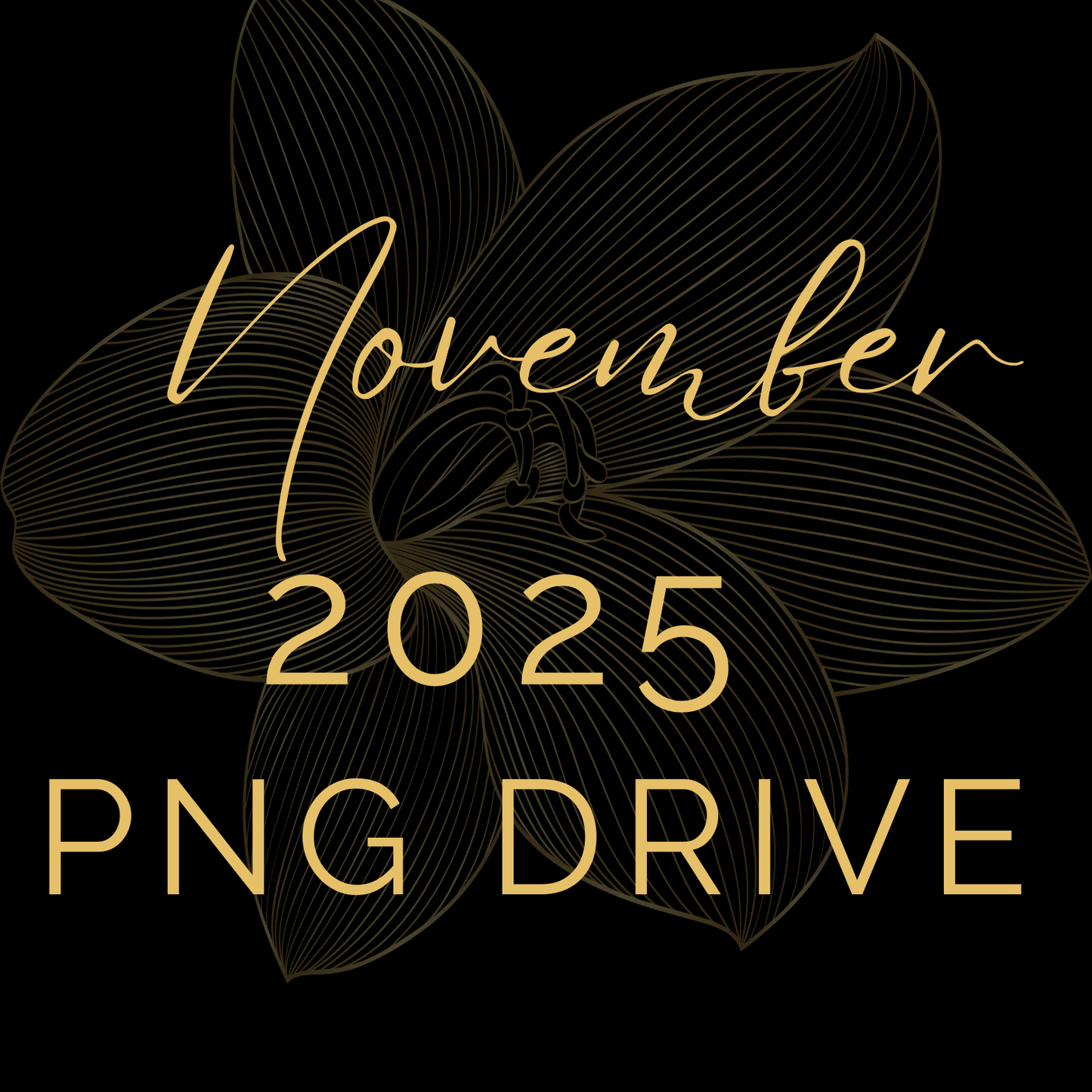 November '25 Drive