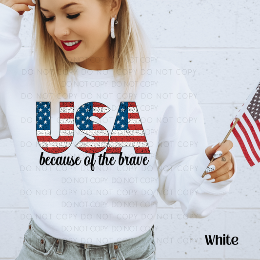 USA Because Of The Brave